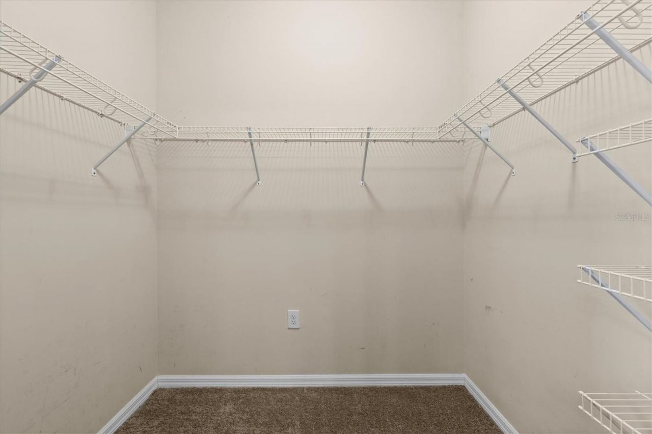 6539 Boulder Run Loop, Wesley Chapel, FL 33545 Photo