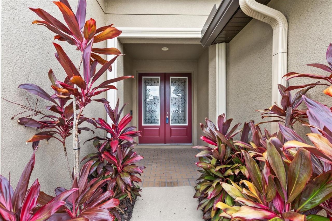 6539 Boulder Run Loop, Wesley Chapel, FL 33545 Photo