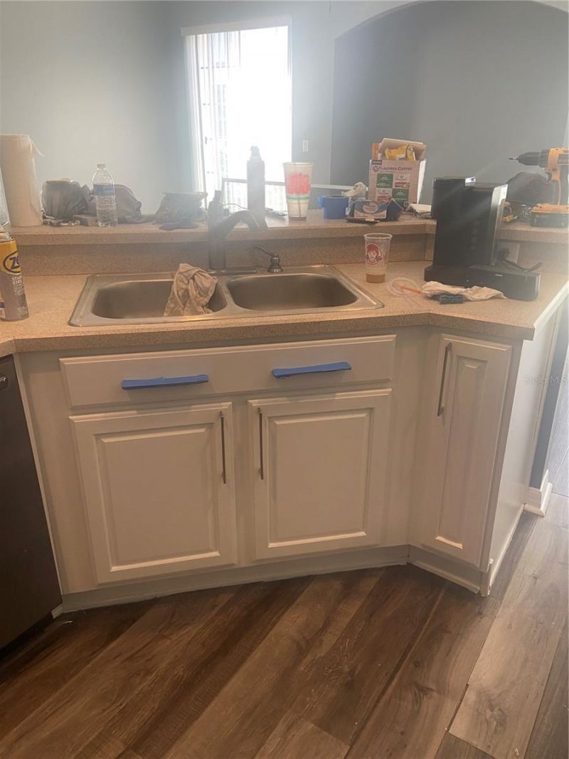 27546 Pleasure Ride Loop , Wesley Chapel, FL 33544 Photo