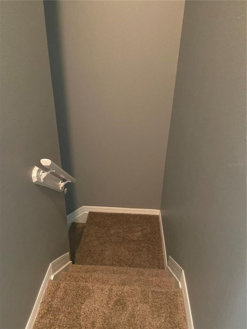 27546 Pleasure Ride Loop , Wesley Chapel, FL 33544 Photo