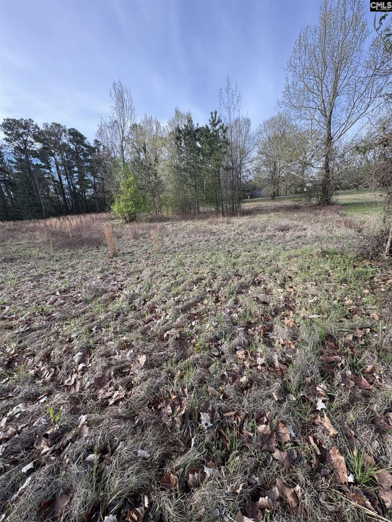 194 Wild Turkey Lane Photo 10