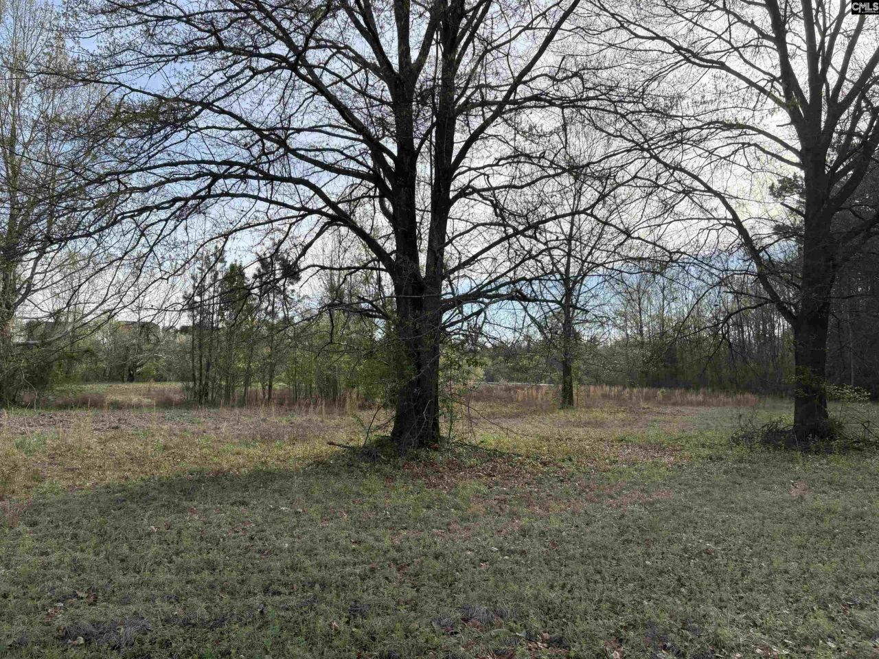 194 Wild Turkey Lane Photo 11