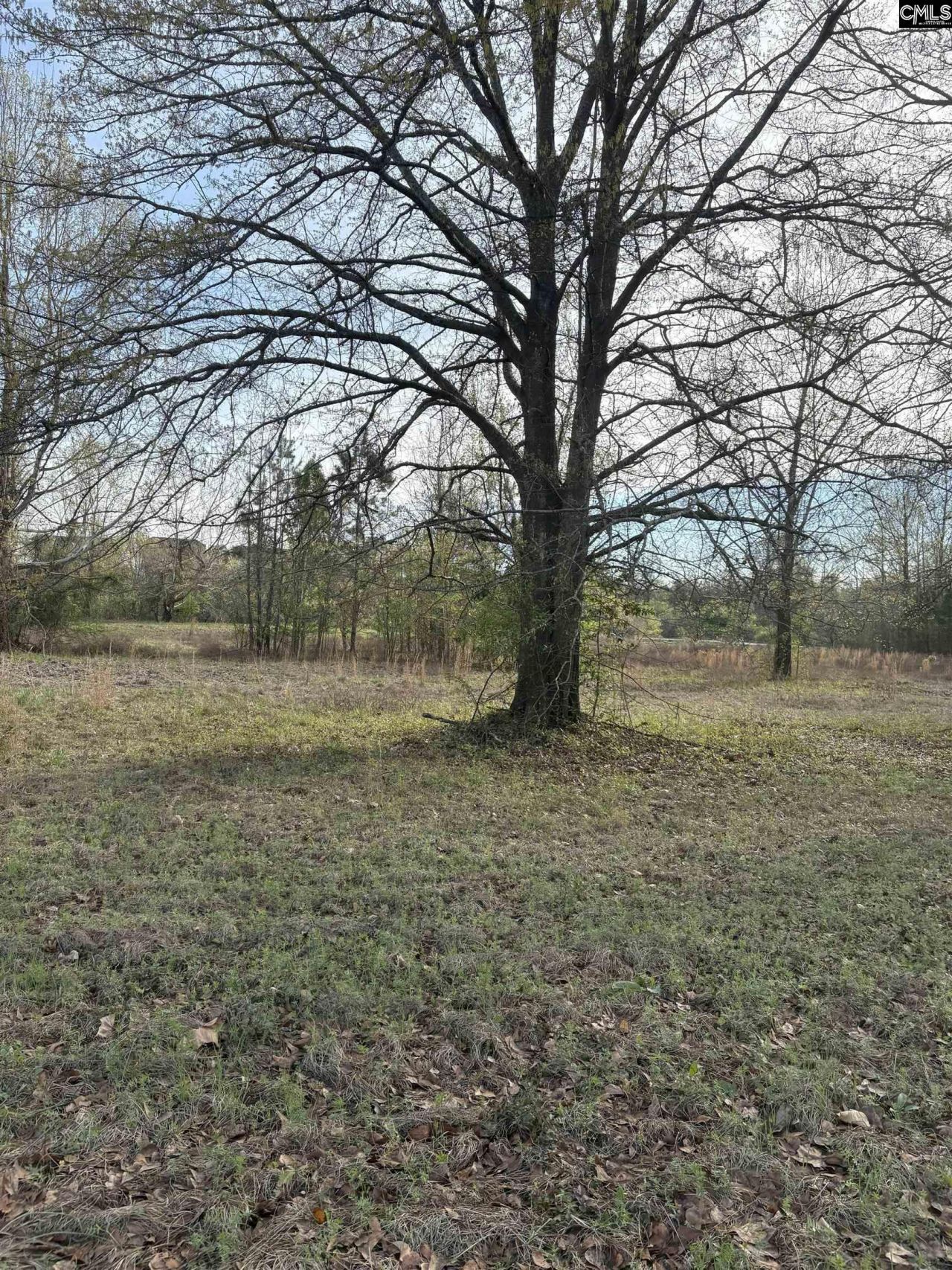 194 Wild Turkey Lane Photo 12