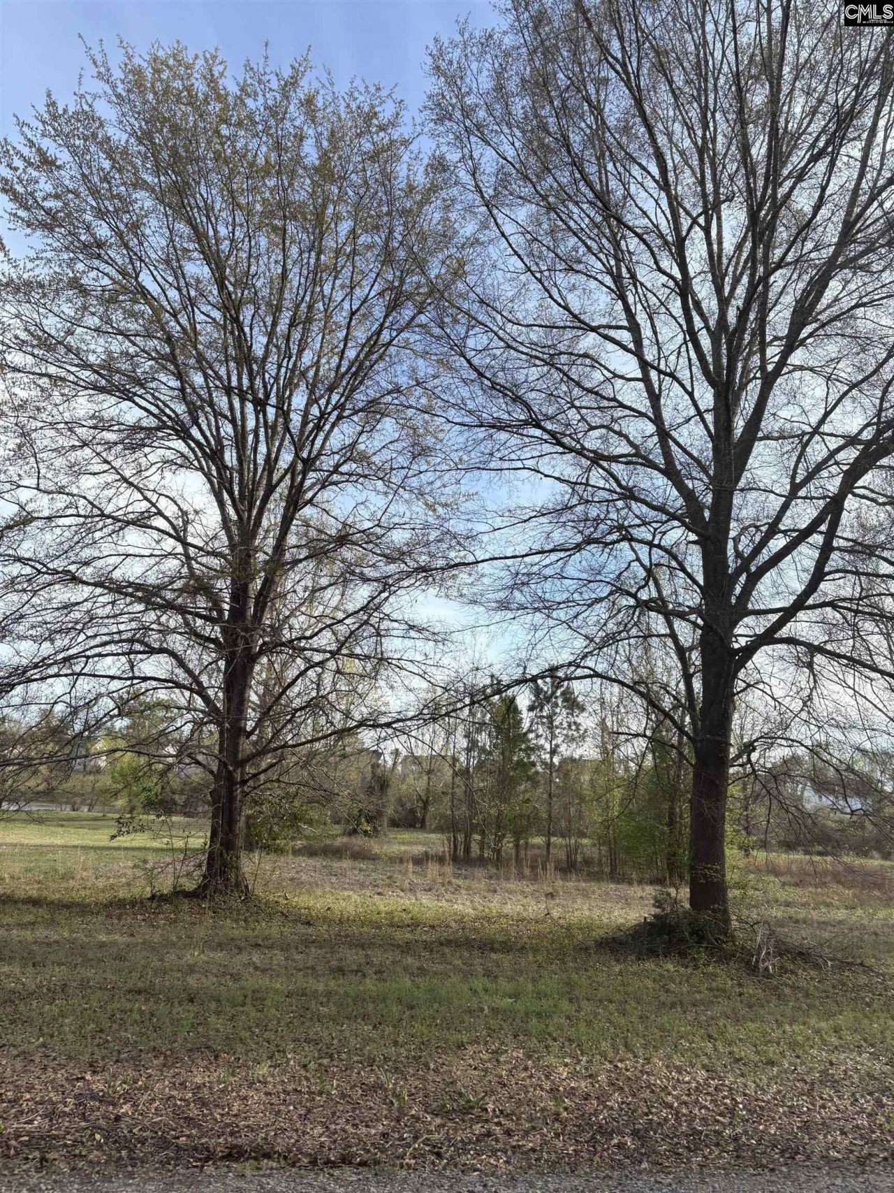 194 Wild Turkey Lane Photo 13