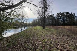 194 Wild Turkey Lane photo 4