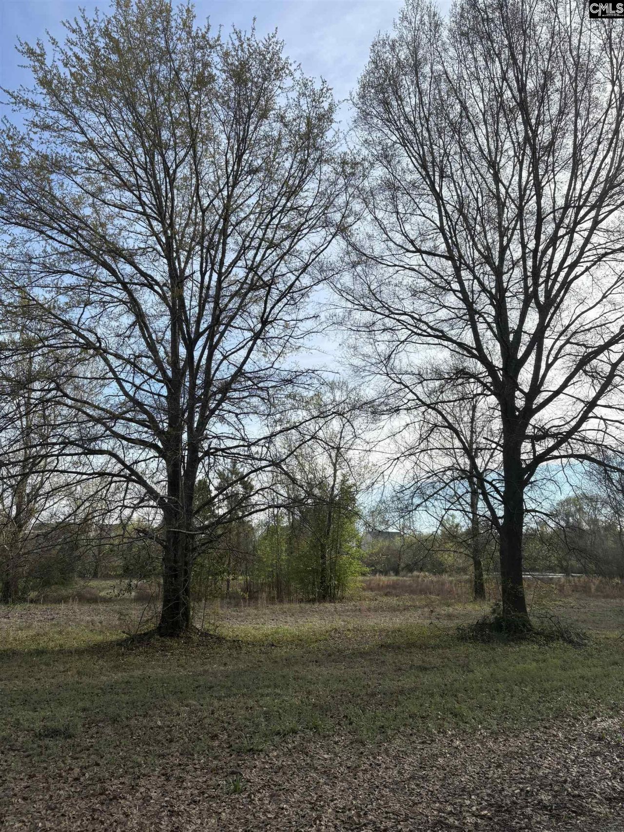 194 Wild Turkey Lane Photo 4