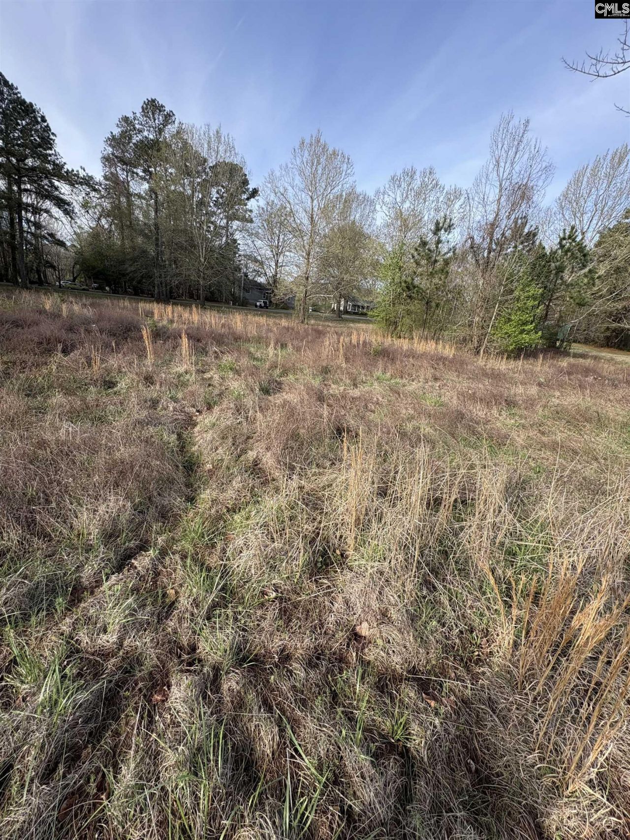 194 Wild Turkey Lane Photo 6