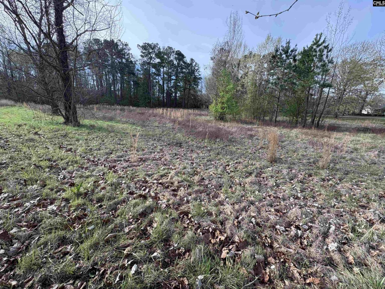 194 Wild Turkey Lane Photo 7