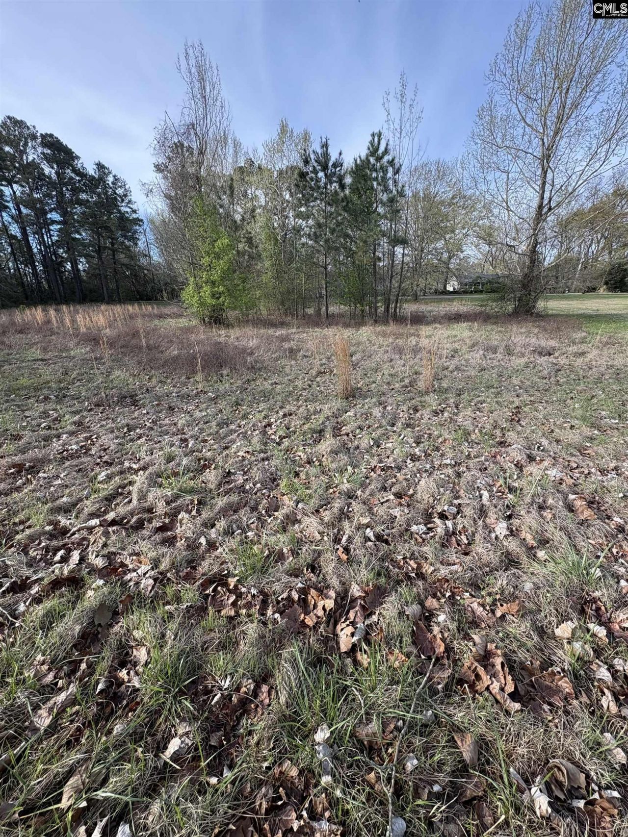 194 Wild Turkey Lane Photo 8