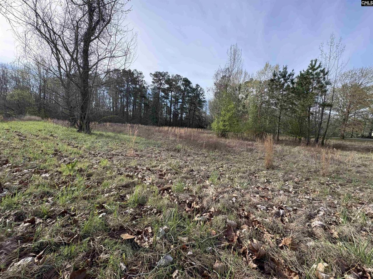 194 Wild Turkey Lane Photo 9