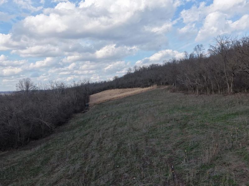 5242 Waterloo Road, Burlington, KY 41005 Photo 5