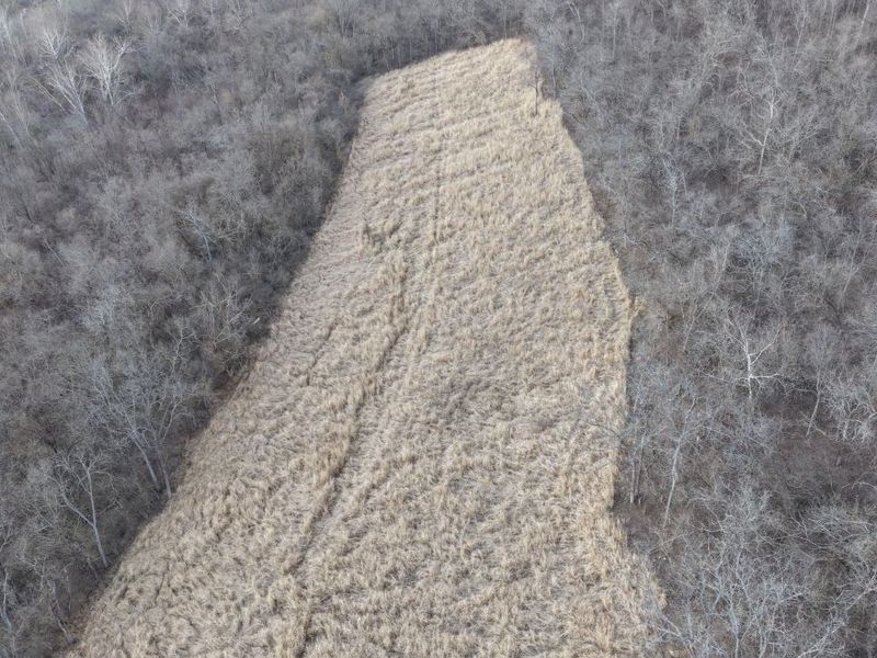 5242 Waterloo Road, Burlington, KY 41005 Photo 7