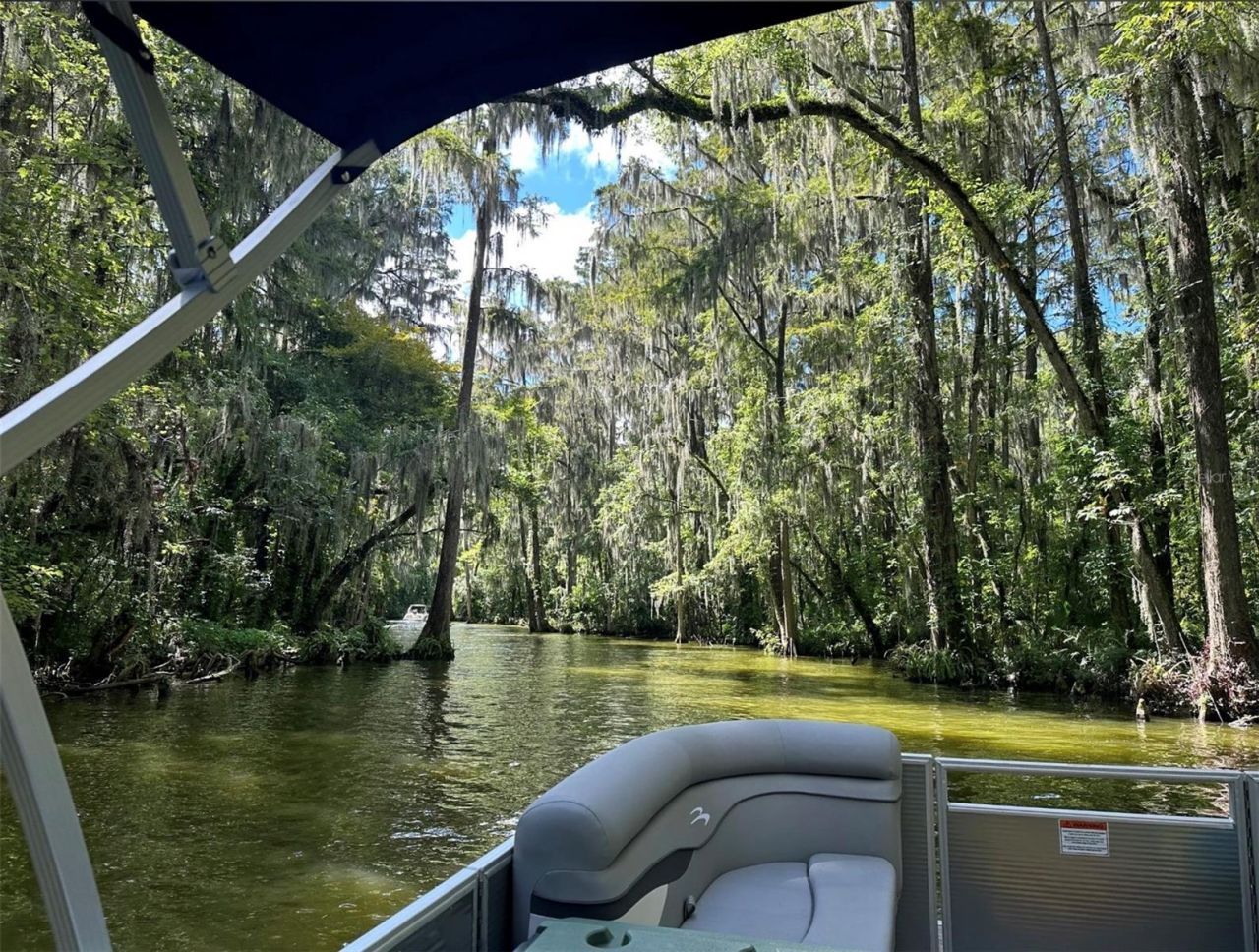 10220 Bumblebee Lane, Leesburg, FL 34788 Photo