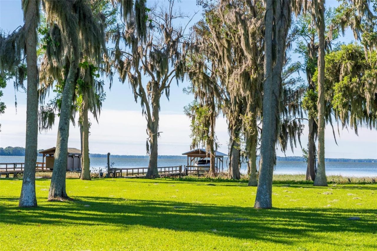 10220 Bumblebee Lane, Leesburg, FL 34788 Photo