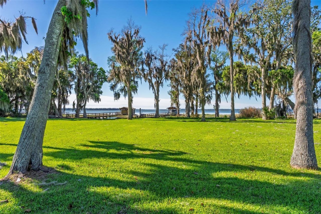 10220 Bumblebee Lane, Leesburg, FL 34788 Photo