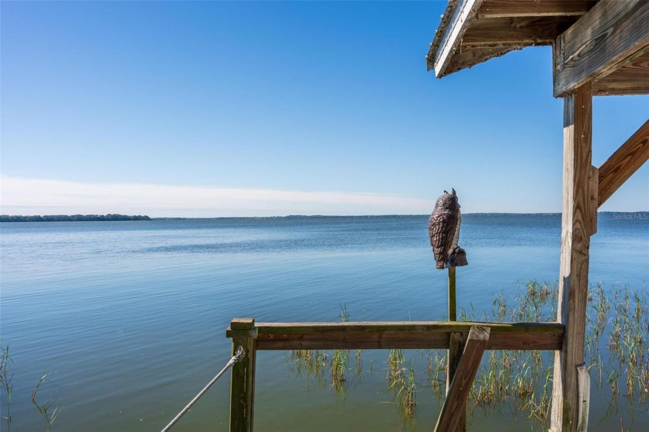 10220 Bumblebee Lane, Leesburg, FL 34788 Photo