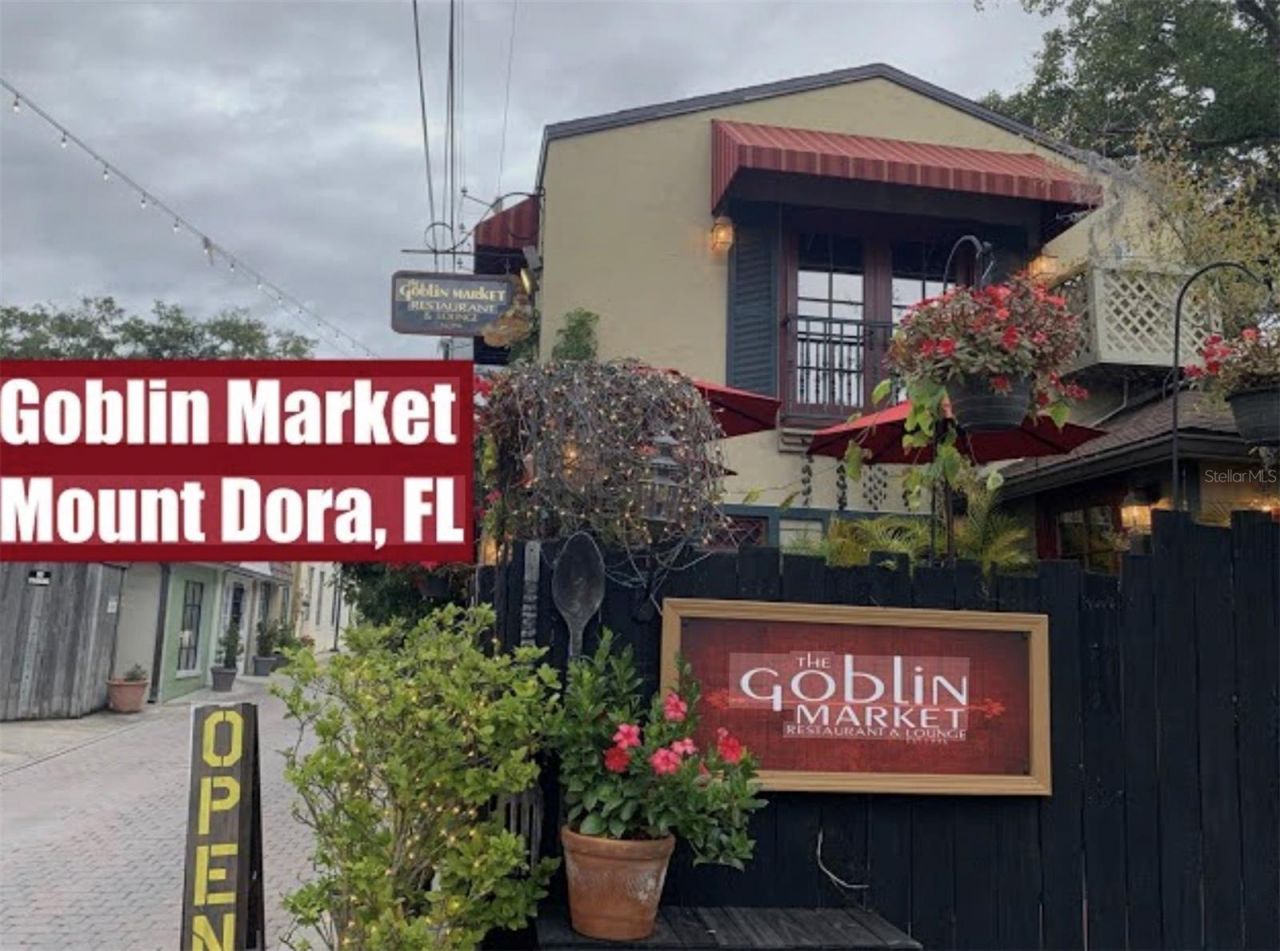 10220 Bumblebee Lane, Leesburg, FL 34788 Photo