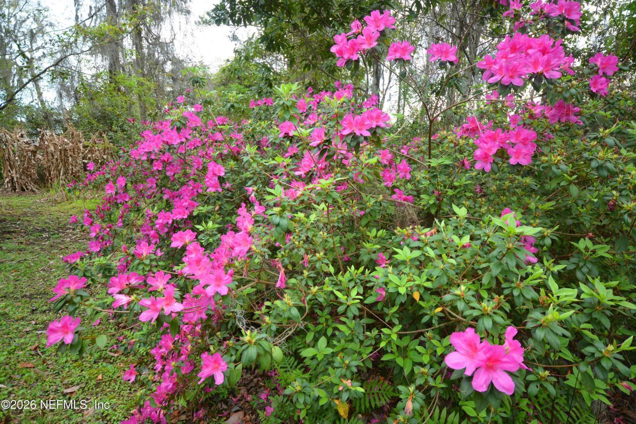 176 Lake Drive, Florahome, FL 32140 Photo