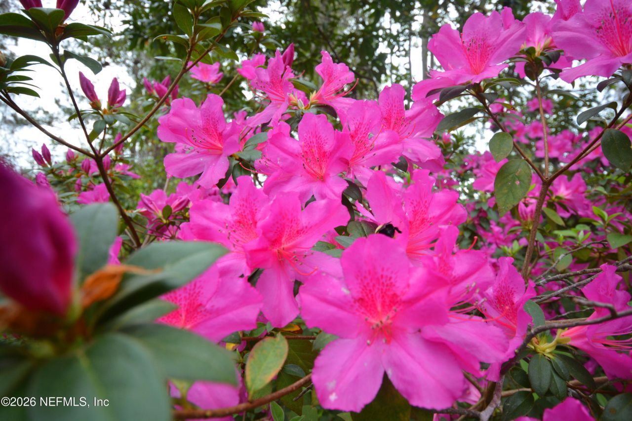 176 Lake Drive, Florahome, FL 32140 Photo