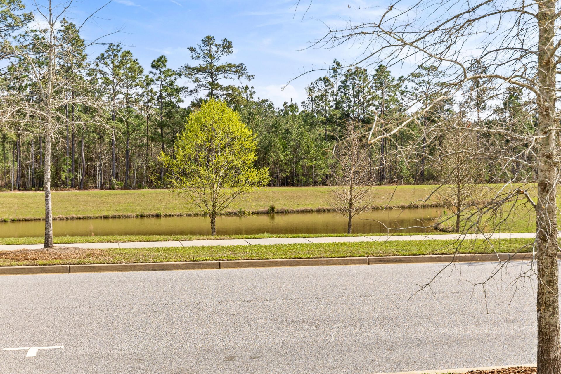 294 Great Lawn Drive Photo 47