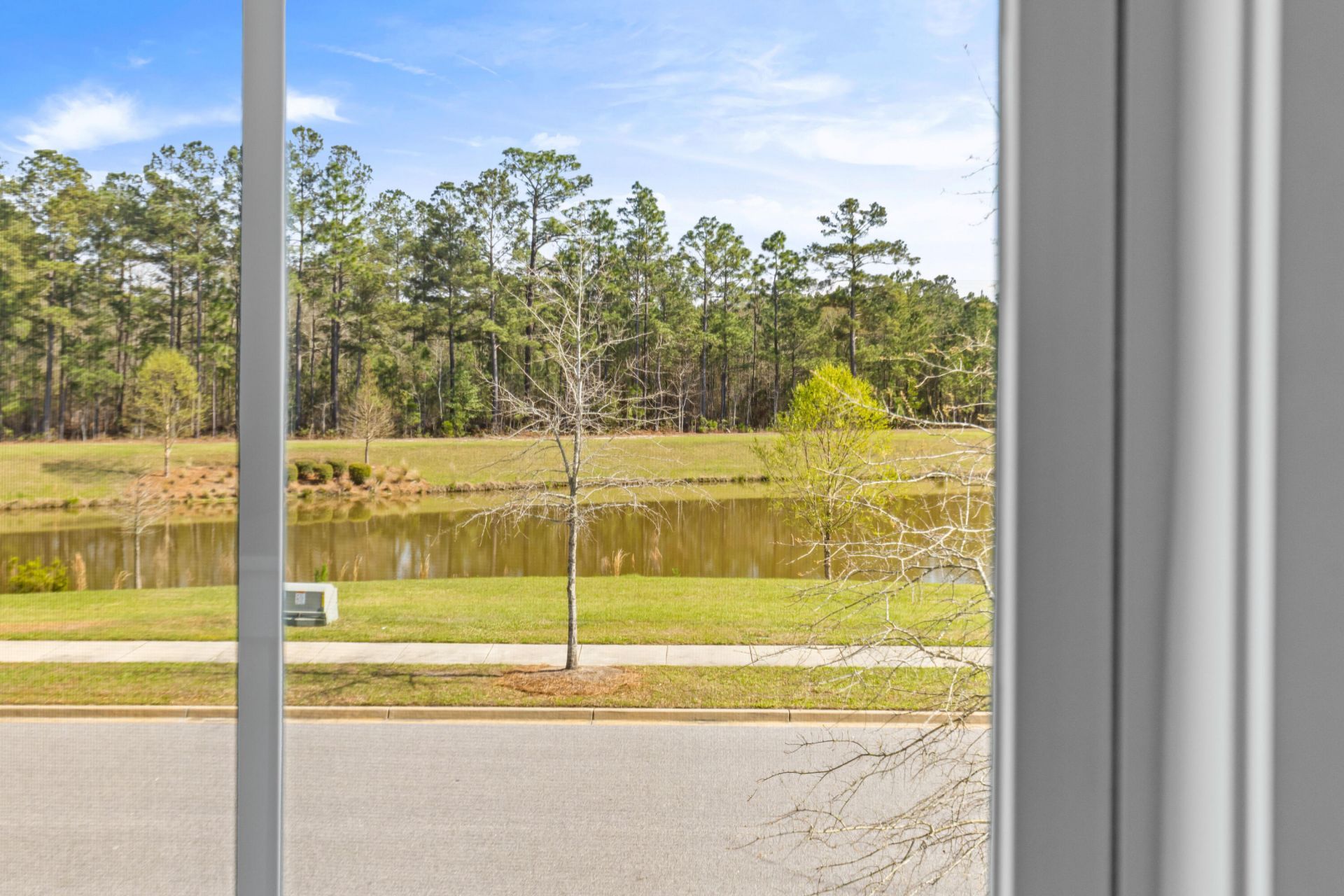 294 Great Lawn Drive Photo 53
