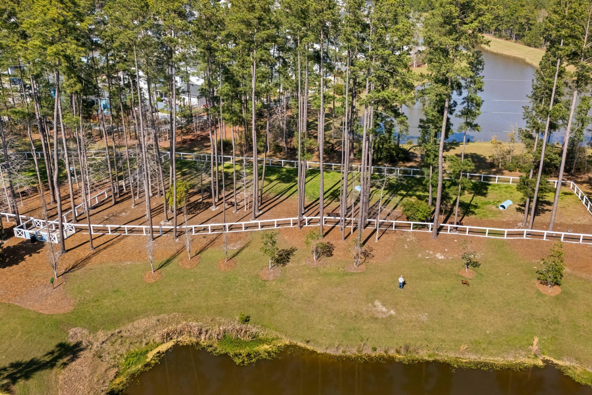 294 Great Lawn Drive Photo 58