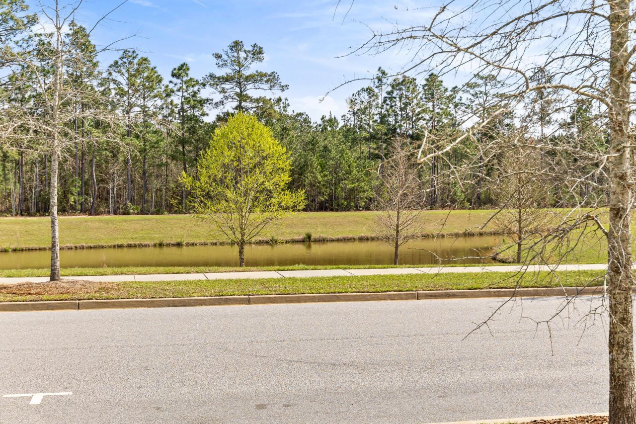 294 Great Lawn Drive Photo 60