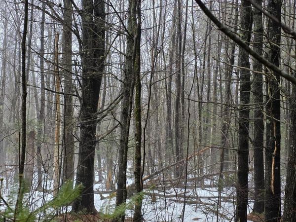 00 Harriman Road, Swanville, ME 04915