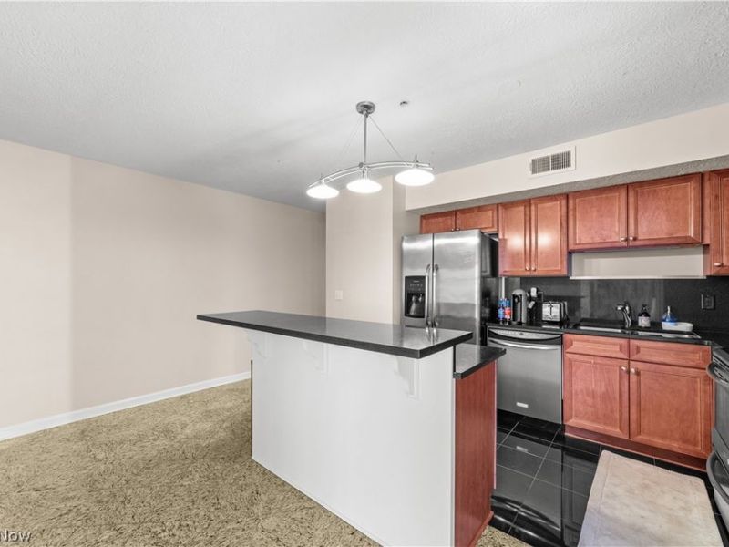 2222 Detroit Avenue, Unit 906, Cleveland, OH 44113 Photo 8