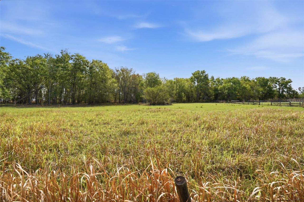 32400 Taylor Grade Road, Duette, FL 34219 Photo