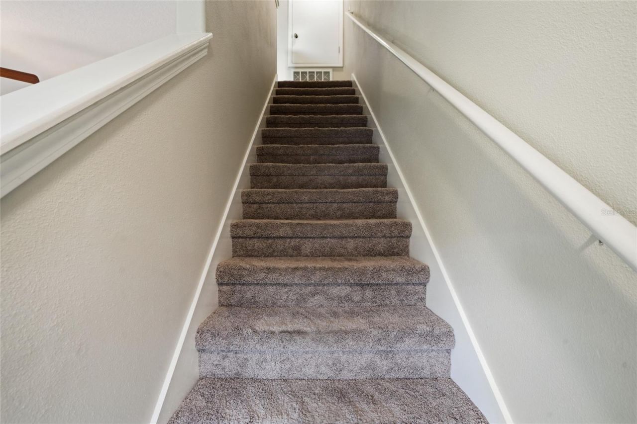 31209 Gossamer Way , Wesley Chapel, FL 33543 Photo