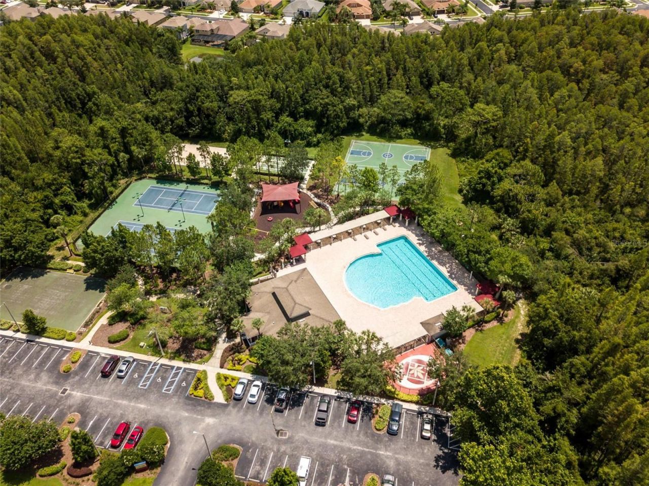 31209 Gossamer Way , Wesley Chapel, FL 33543 Photo