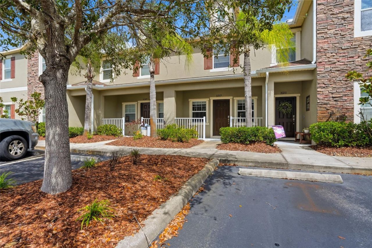 31209 Gossamer Way , Wesley Chapel, FL 33543 Photo