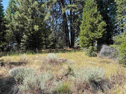 1218 Lynx Road, Lake Almanor, CA 96137 Photo