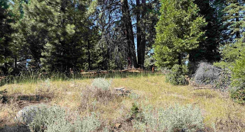 1218 Lynx Road, Lake Almanor, CA 96137 Photo