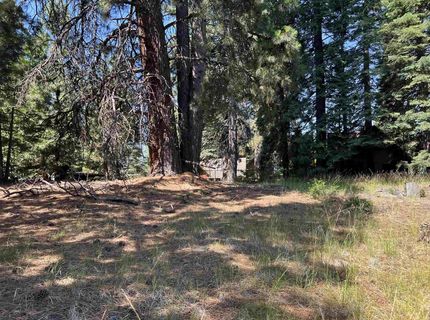 1218 Lynx Road, Lake Almanor, CA 96137 Photo