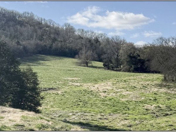 5335 Browning Branch Rd , Bethpage, TN 37022