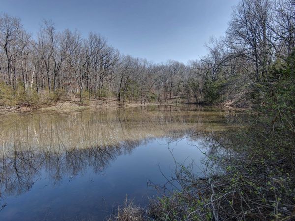 295 Woodstock Road, Elkland, MO 65644