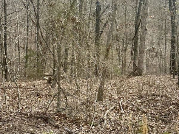 000 Aberdeen Drive, Bella Vista, AR 72715