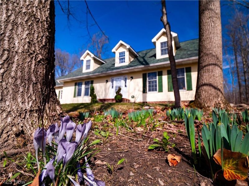 4333 Hamilton Road , Medina, OH 44256 Photo 4