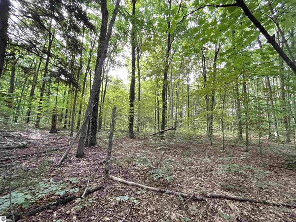 Langs Lane, Interlochen, MI 49643