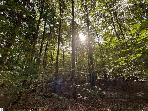 Langs Lane, Interlochen, MI 49643