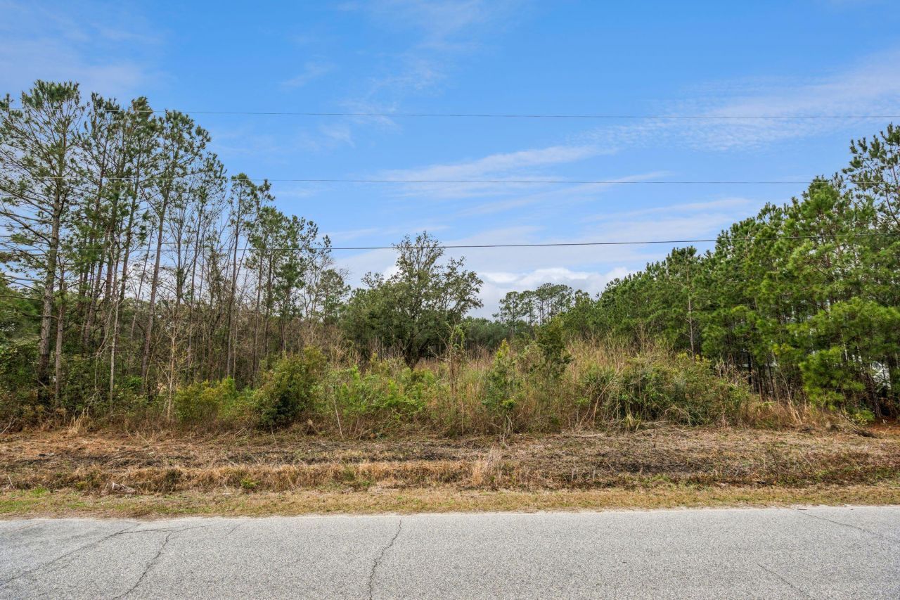 1593 Boston Grill Road Photo 11