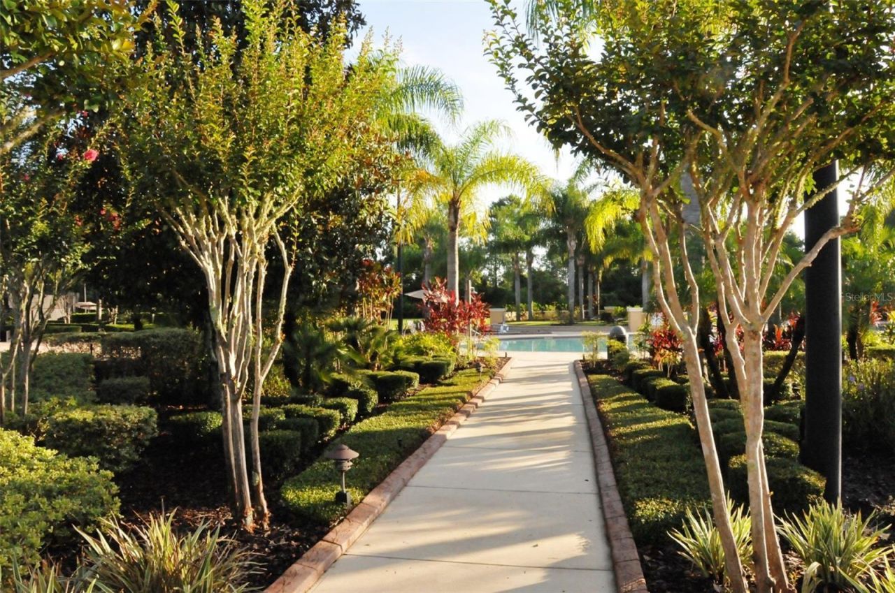 2585 Turtlehead Cove, Oviedo, FL 32766 Photo