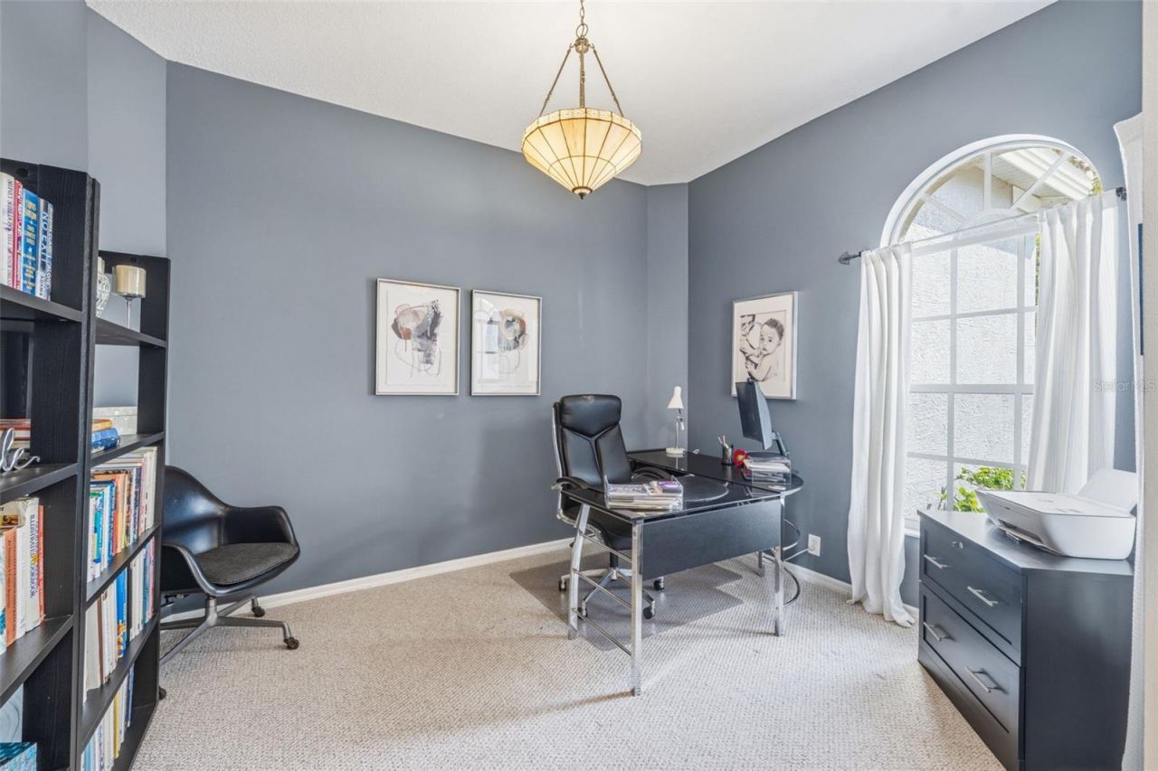 9651 Venturi Drive , Trinity, FL 34655 Photo