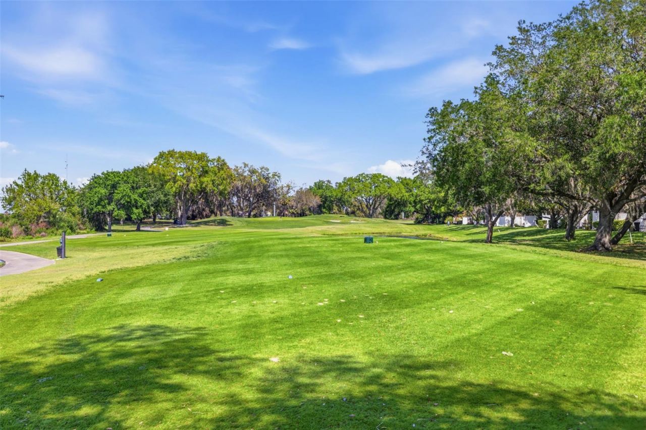 9651 Venturi Drive , Trinity, FL 34655 Photo