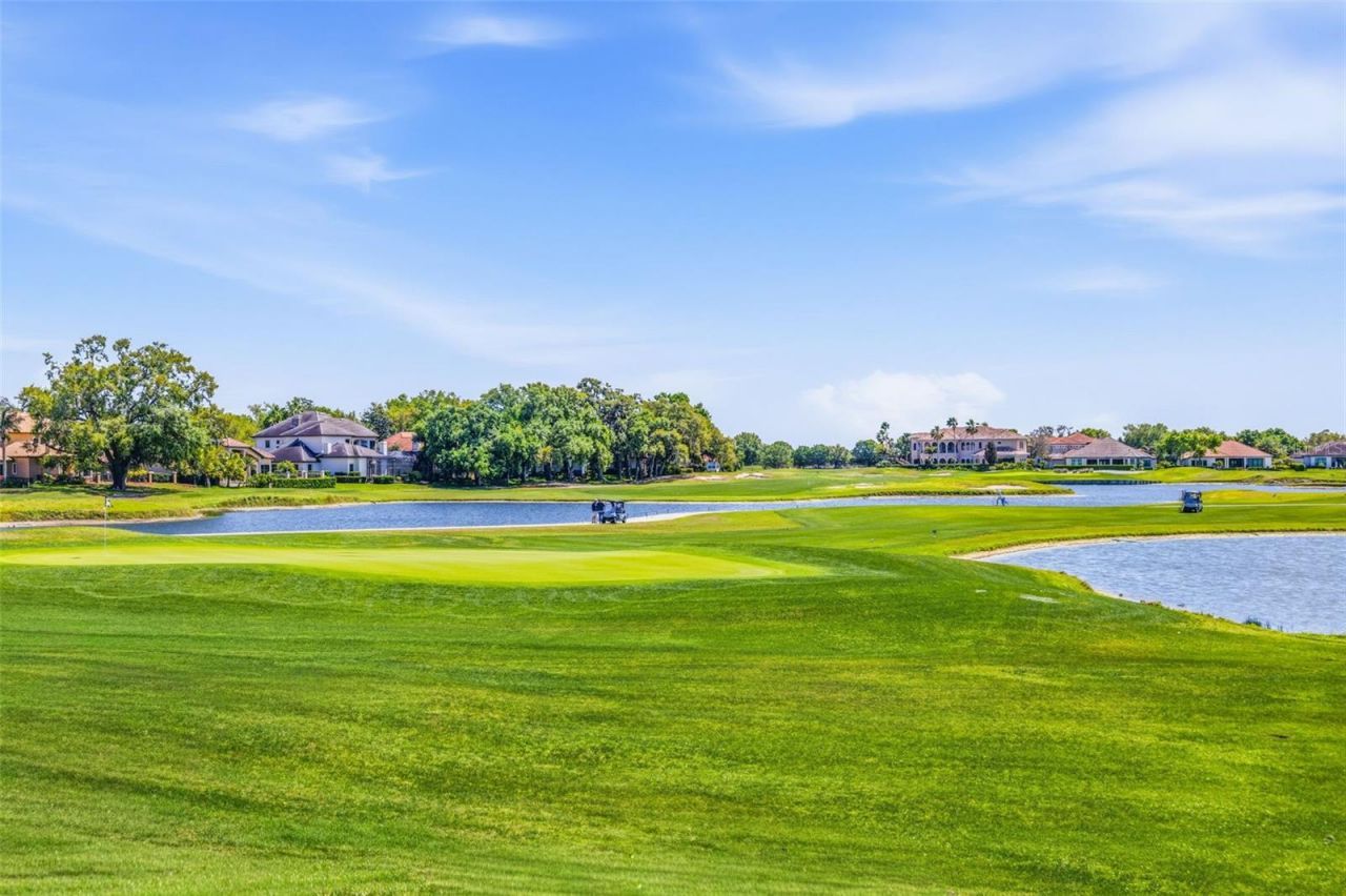 9651 Venturi Drive , Trinity, FL 34655 Photo