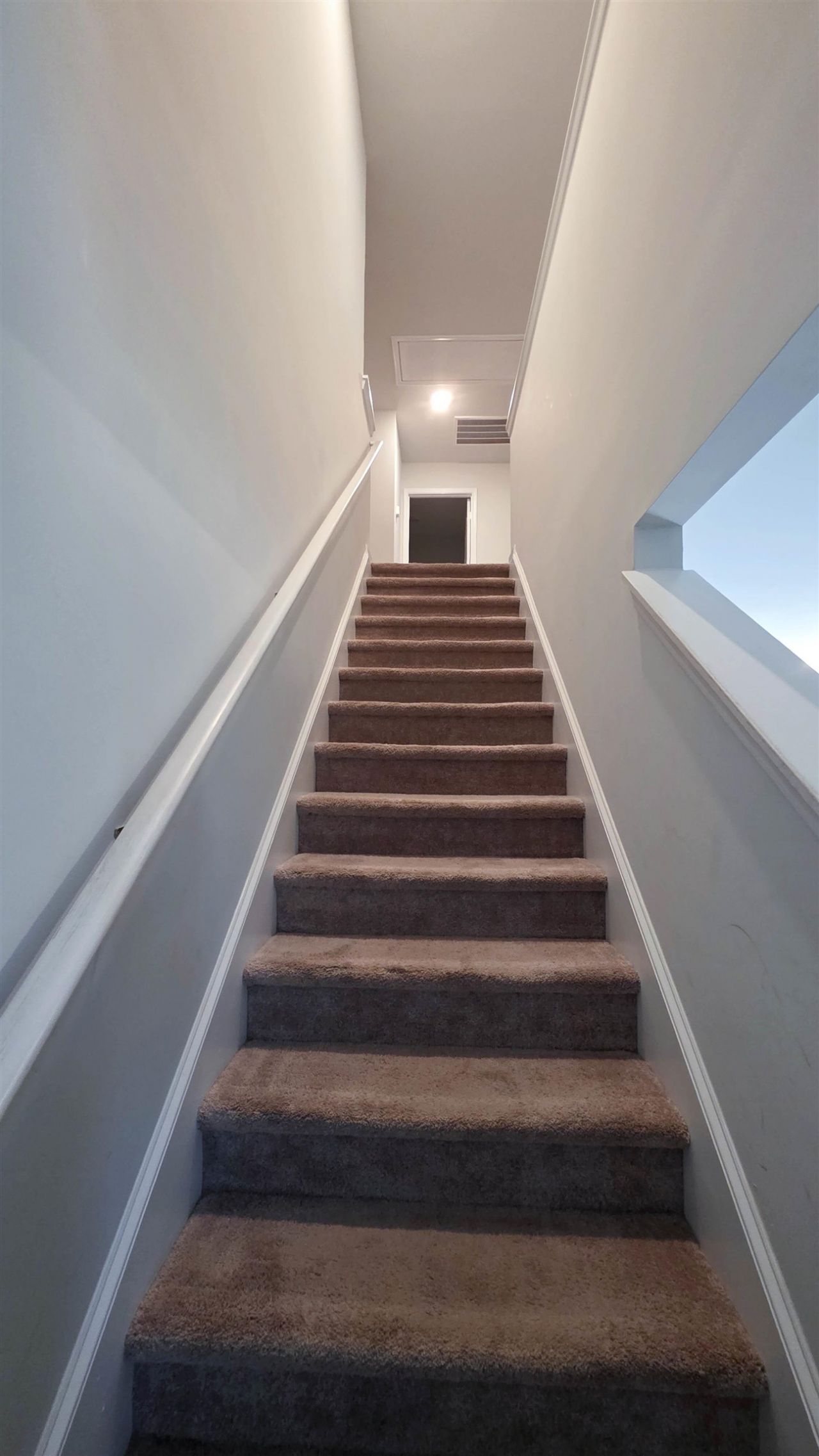 939 Snowberry Dr. Photo 12