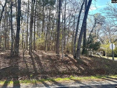 Holley Ferry Road , Leesville, SC 29070