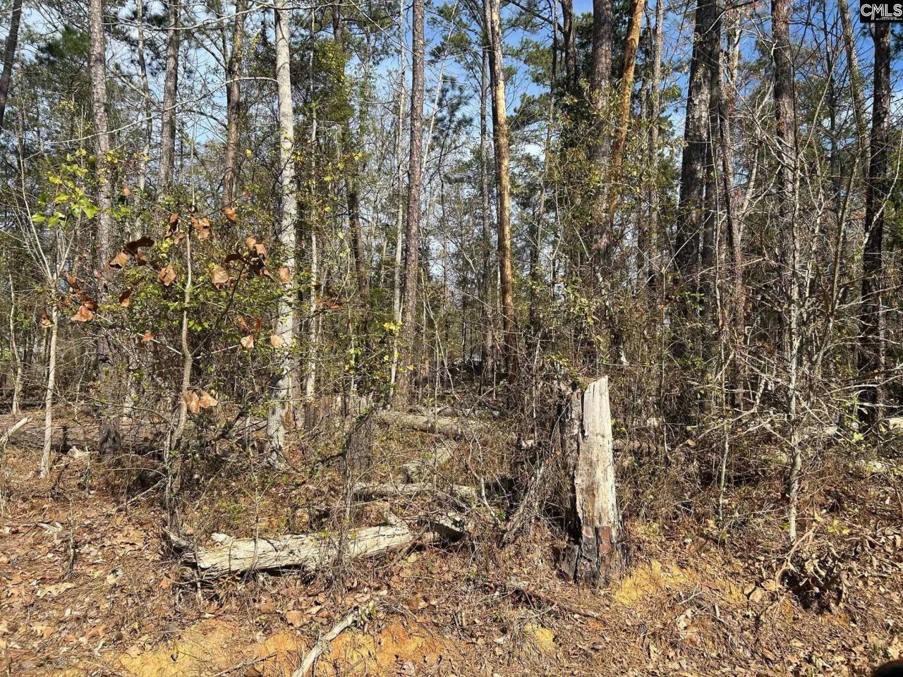 Holley Ferry Road  Photo 4